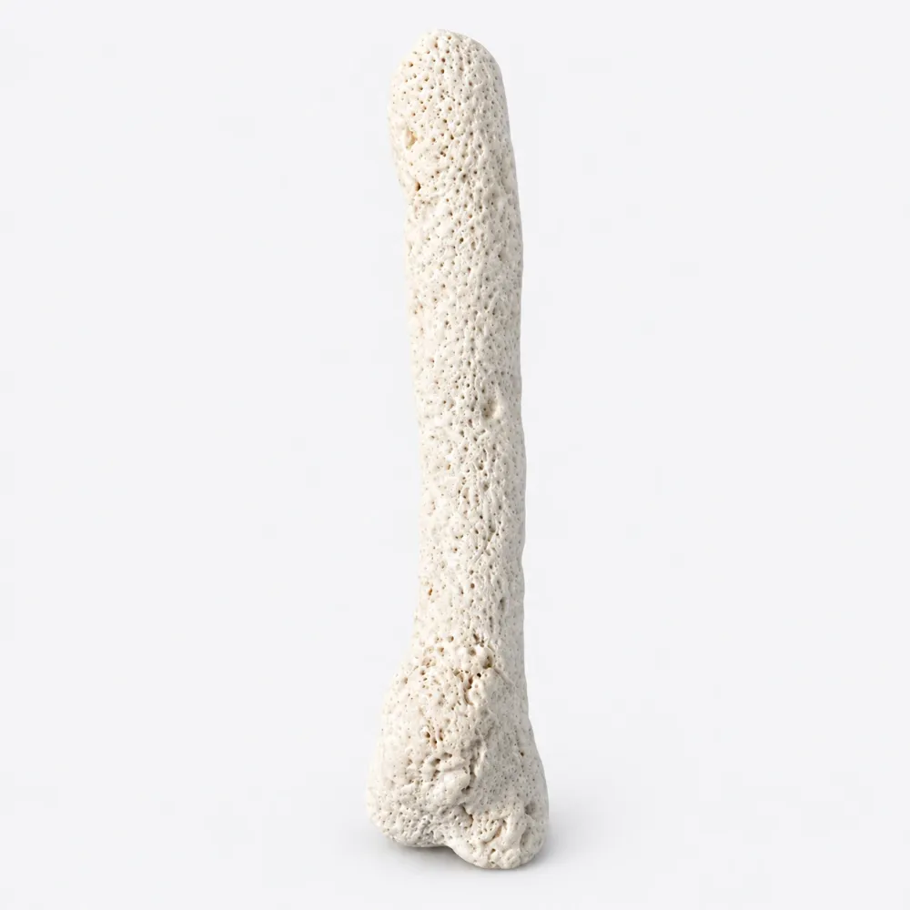 Picture of Small Tonga Branch Reef Rock — 1 lb