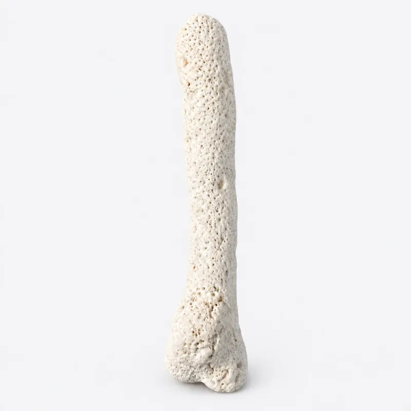 Picture of Small Tonga Branch Reef Rock — 1 lb