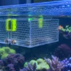 Picture of Acrylic Fish & Anemone Acclimation Box