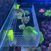 Picture of Acrylic Fish & Anemone Acclimation Box