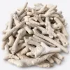 Picture of Small Tonga Branch Reef Rock — 1 lb