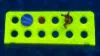 Picture of 12-hole Magnetic Frag Rack