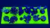 Picture of 12-hole Magnetic Frag Rack